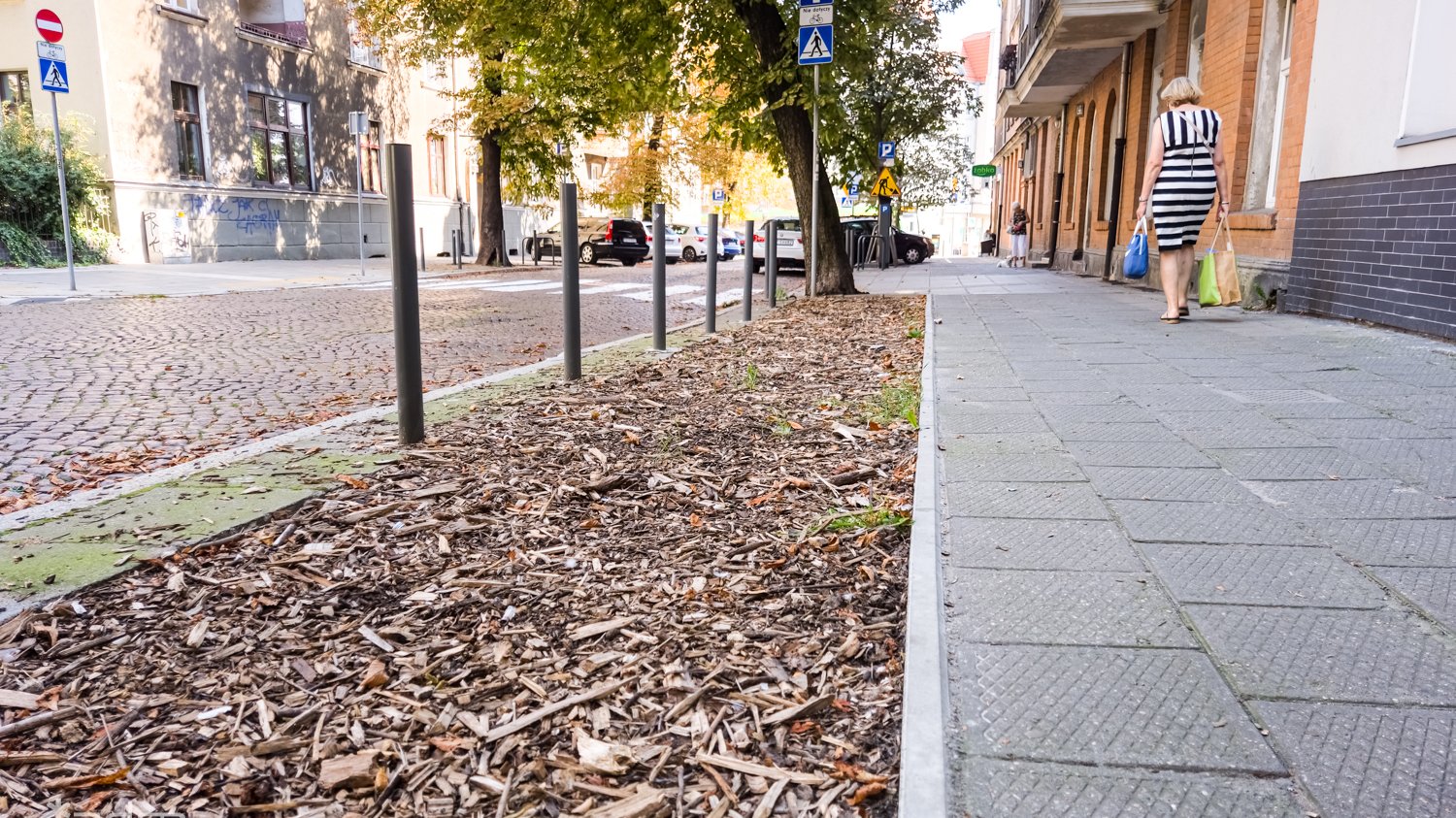 Galeria zdjęć odbruków na Wildzie