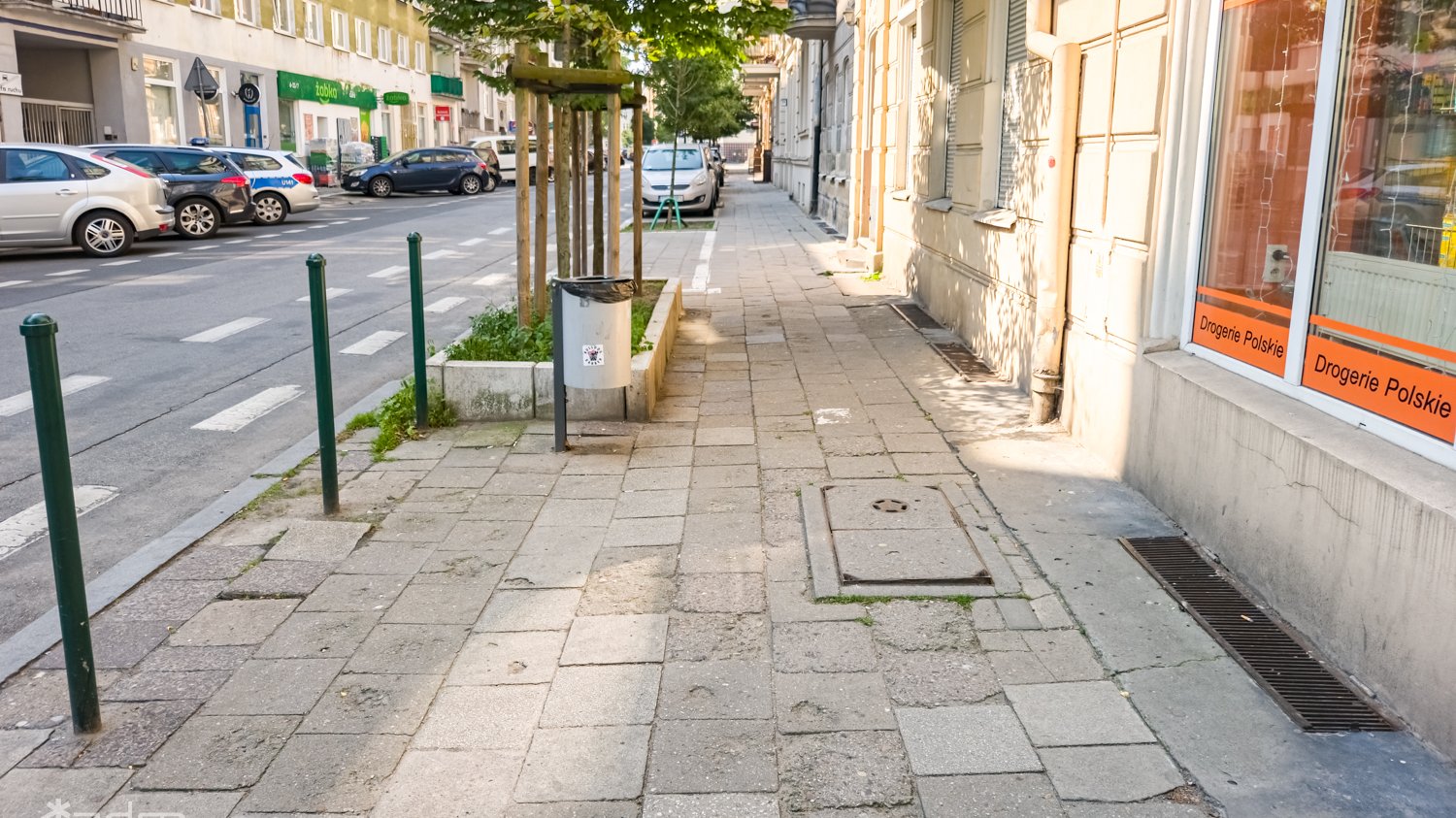 Widać zniszczony chodnik, dwa drzewa i parkujące samochody