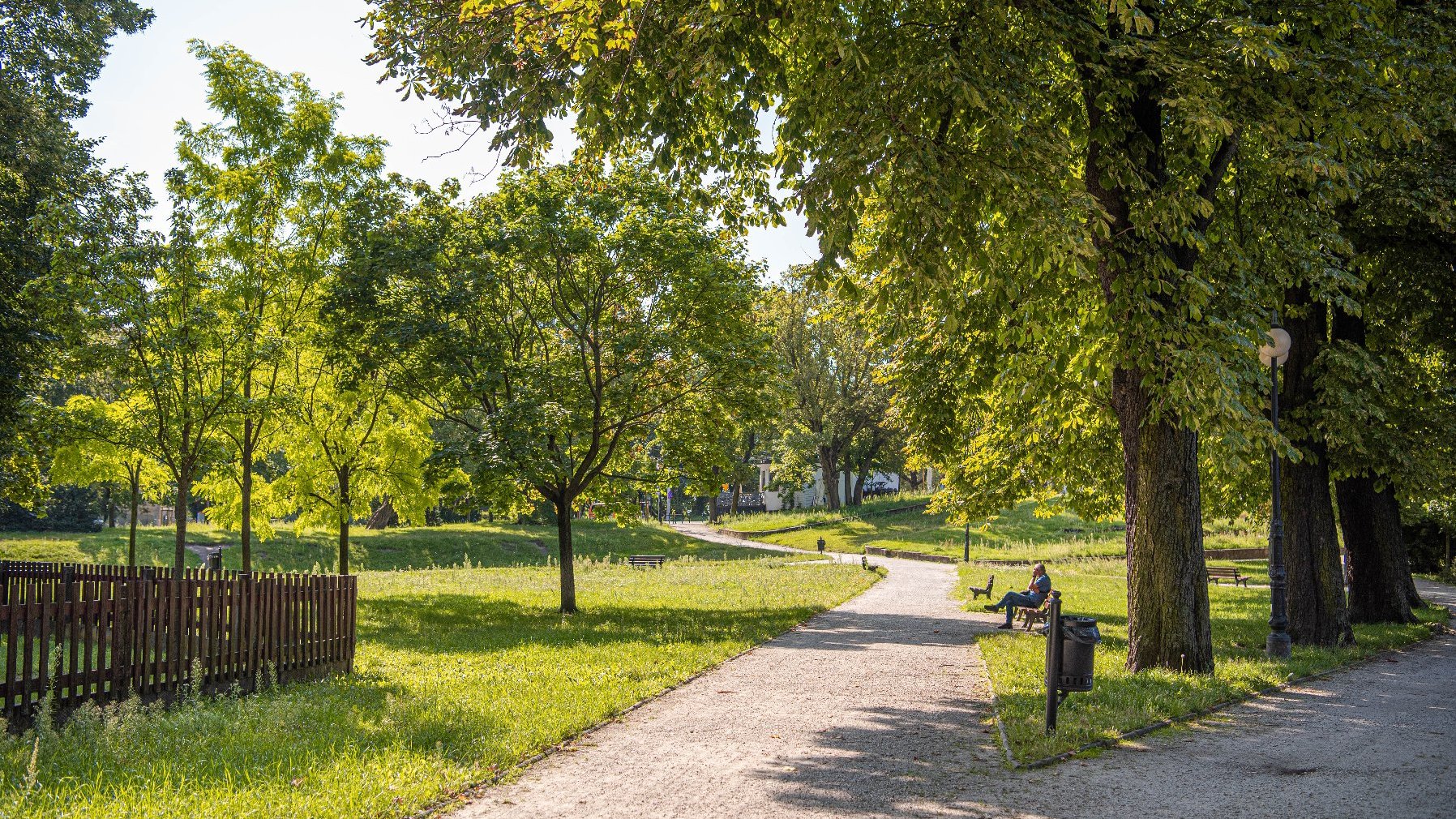 Zdjęcie przedstawia park. Widać na nim zieleń - trawę i drzewa oraz alejki z ławkami, na których siedzą ludzie.