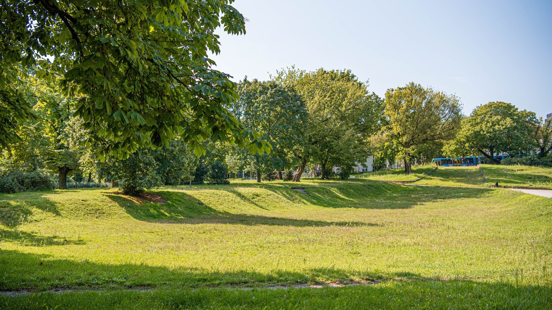 Zdjęcie przedstawia park. Widać na nim zieleń - trawę i drzewa.