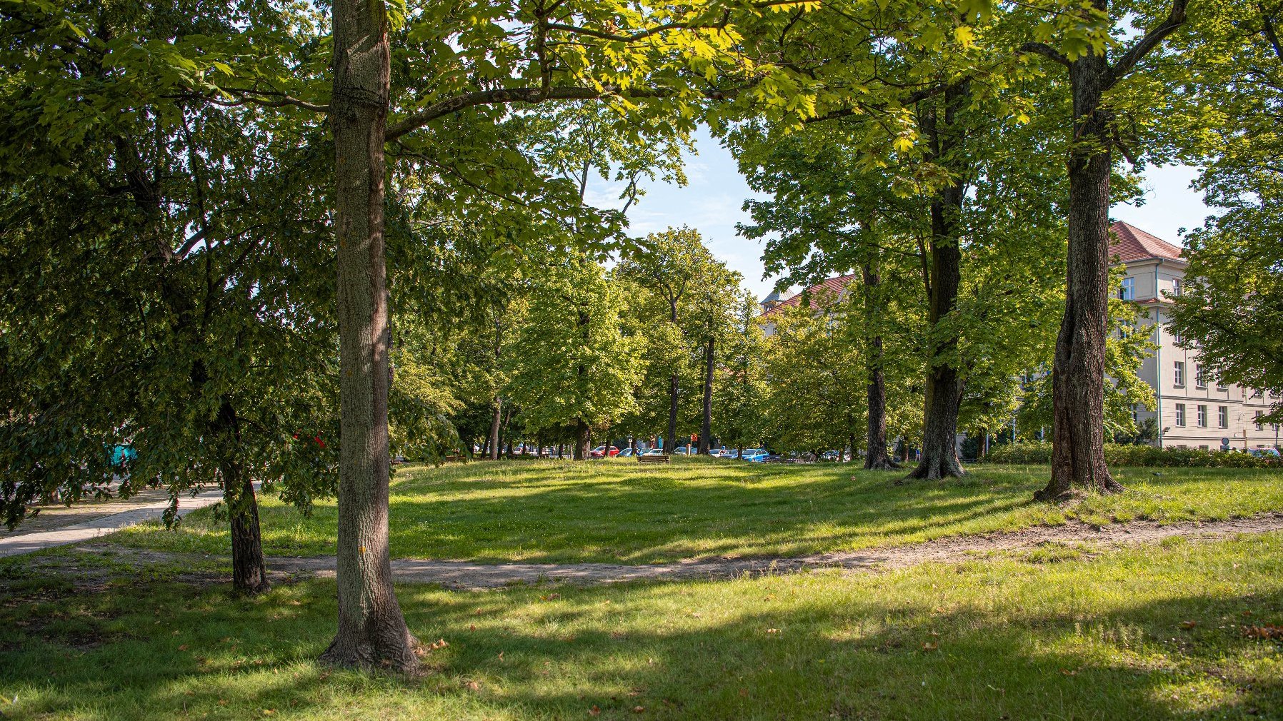 Zdjęcie przedstawia park. Widać na nim zieleń - trawę i drzewa oraz alejki. W tle, za drzewami znajduje się budynek.