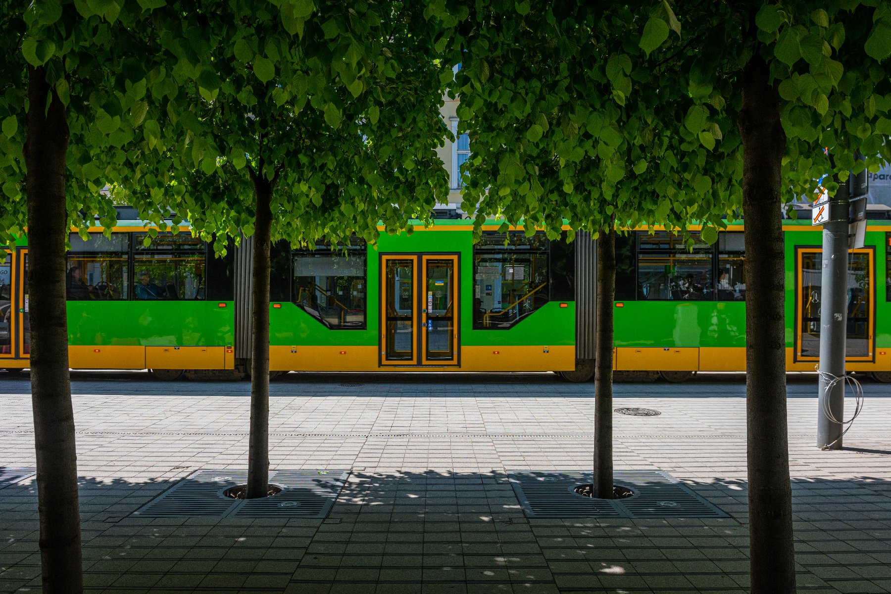 Zielono-żółty tramwaj na ul. Św. Marcin widoczny zza zielonych drzew - grafika artykułu