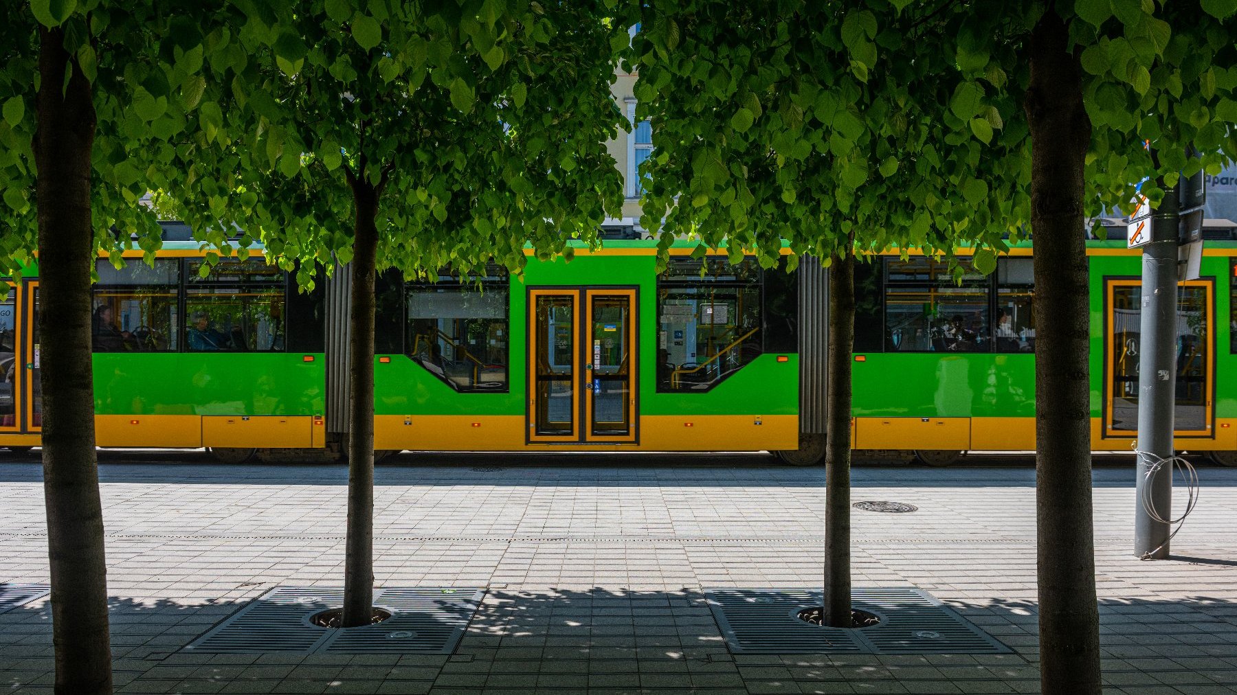 Zielono-żółty tramwaj na ul. Św. Marcin widoczny zza zielonych drzew