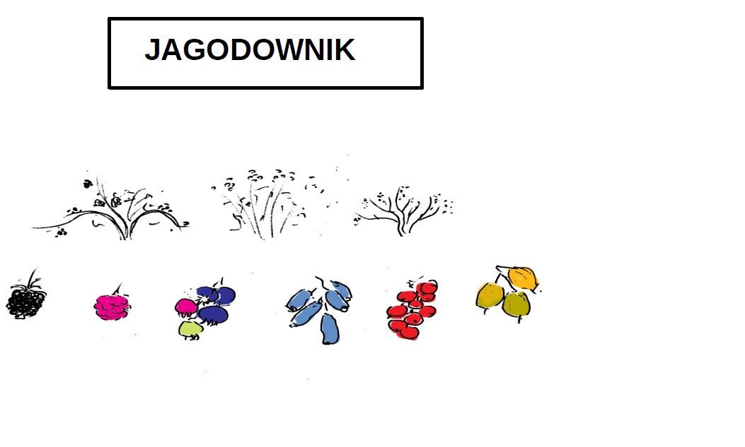 Jagodownik