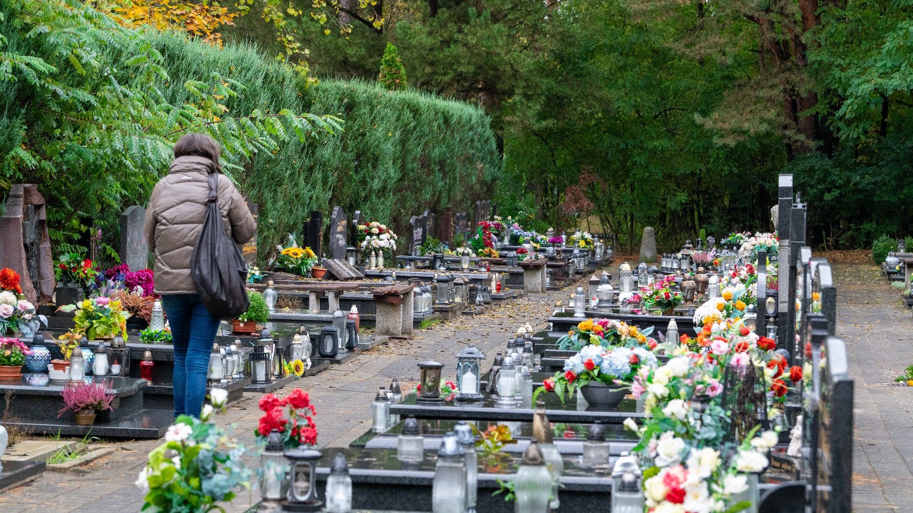 Na zdjęciu kobieta idąca cmentarną aleją