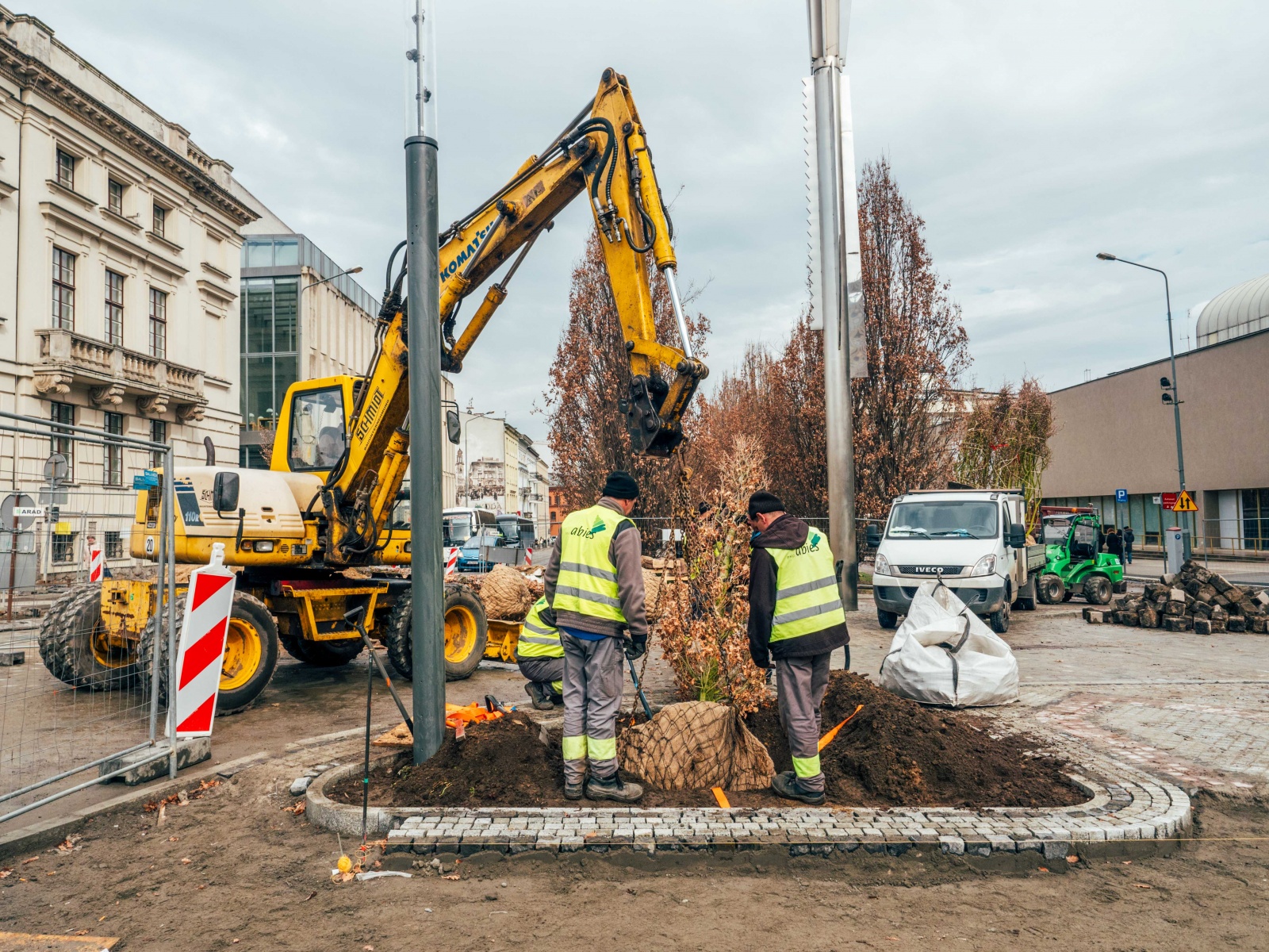 Nowe drzewa zazielenią centrum (foto: PIM) - grafika artykułu