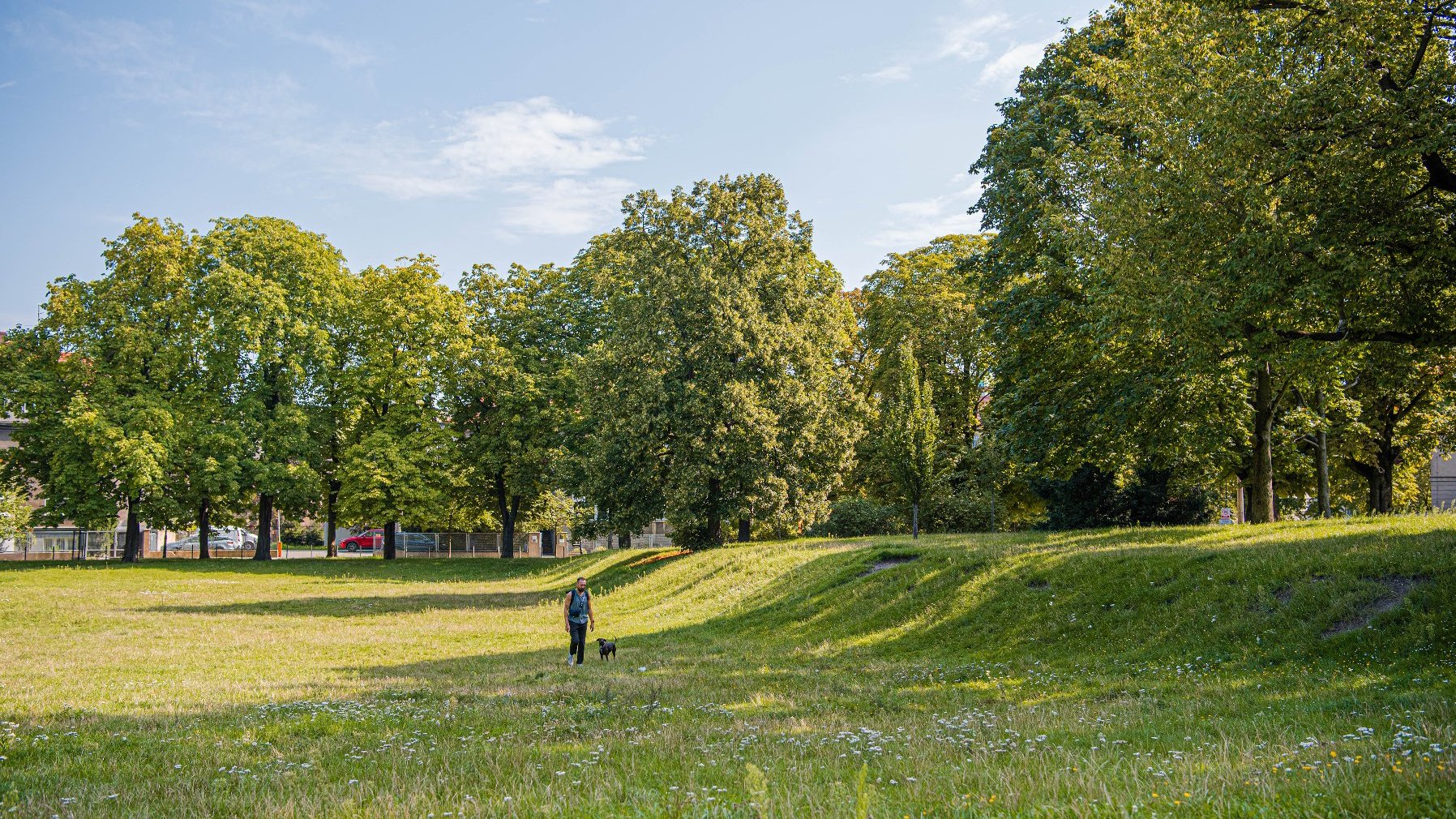 Zdjęcie przedstawia park. Widać na nim zieleń - trawe i drzewa oraz mężczyznę spacerującego z psem.