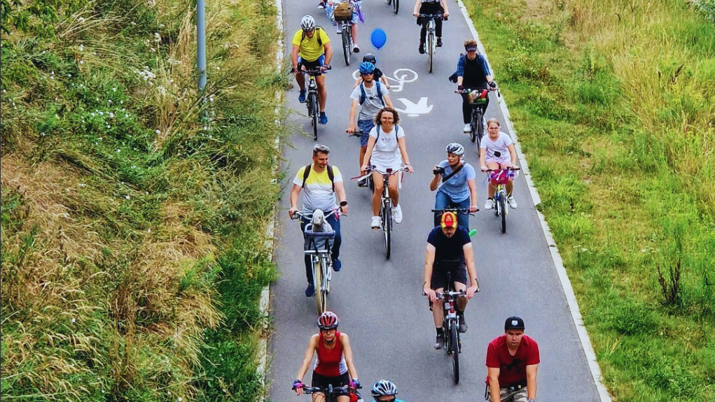 Rowerzyści jadą po drodze rowerowej, po której obu stronach rośnie trawa. - grafika artykułu