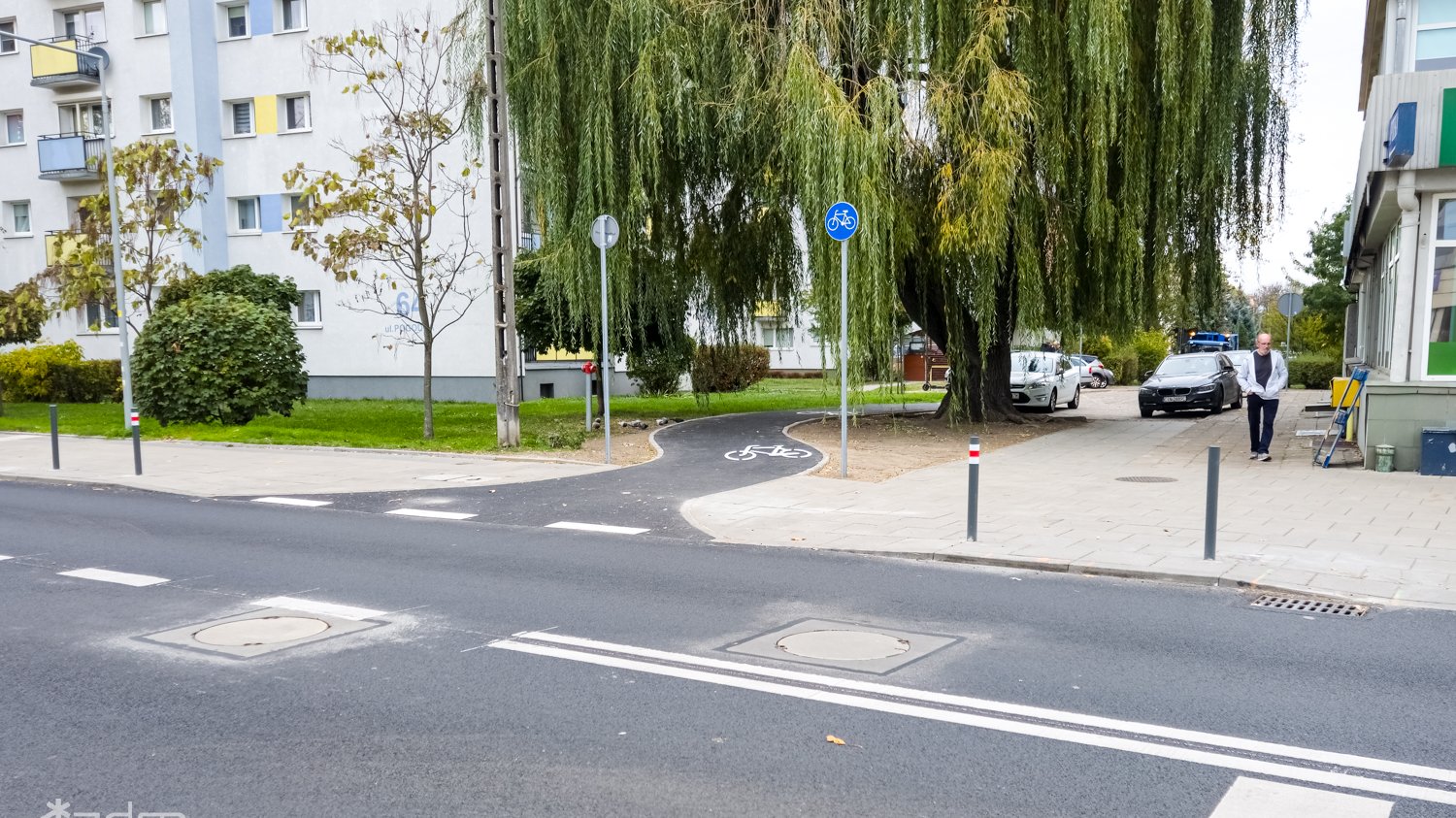 Zdjęcie, fragment jezdni, od której odchodzi ścieżka rowerowa. Przy ścieżce rośnie duża wieżba płacząca.