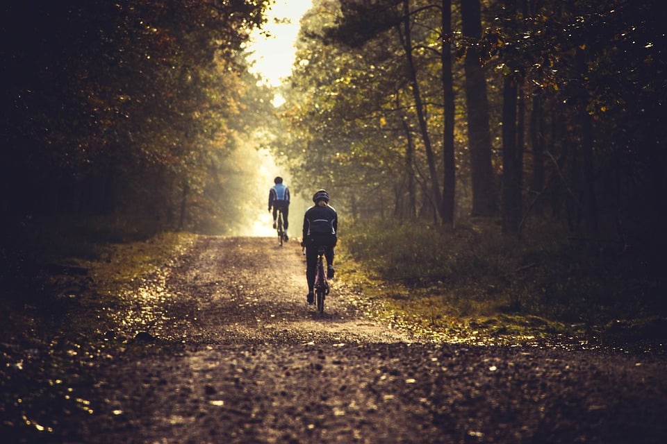 Zdjęcie, dwie osoby jadą na rowerach po ścieżce rowerowej wśród jesiennych drzew. Przez gałęzie przebijają promienie słońca. - grafika artykułu