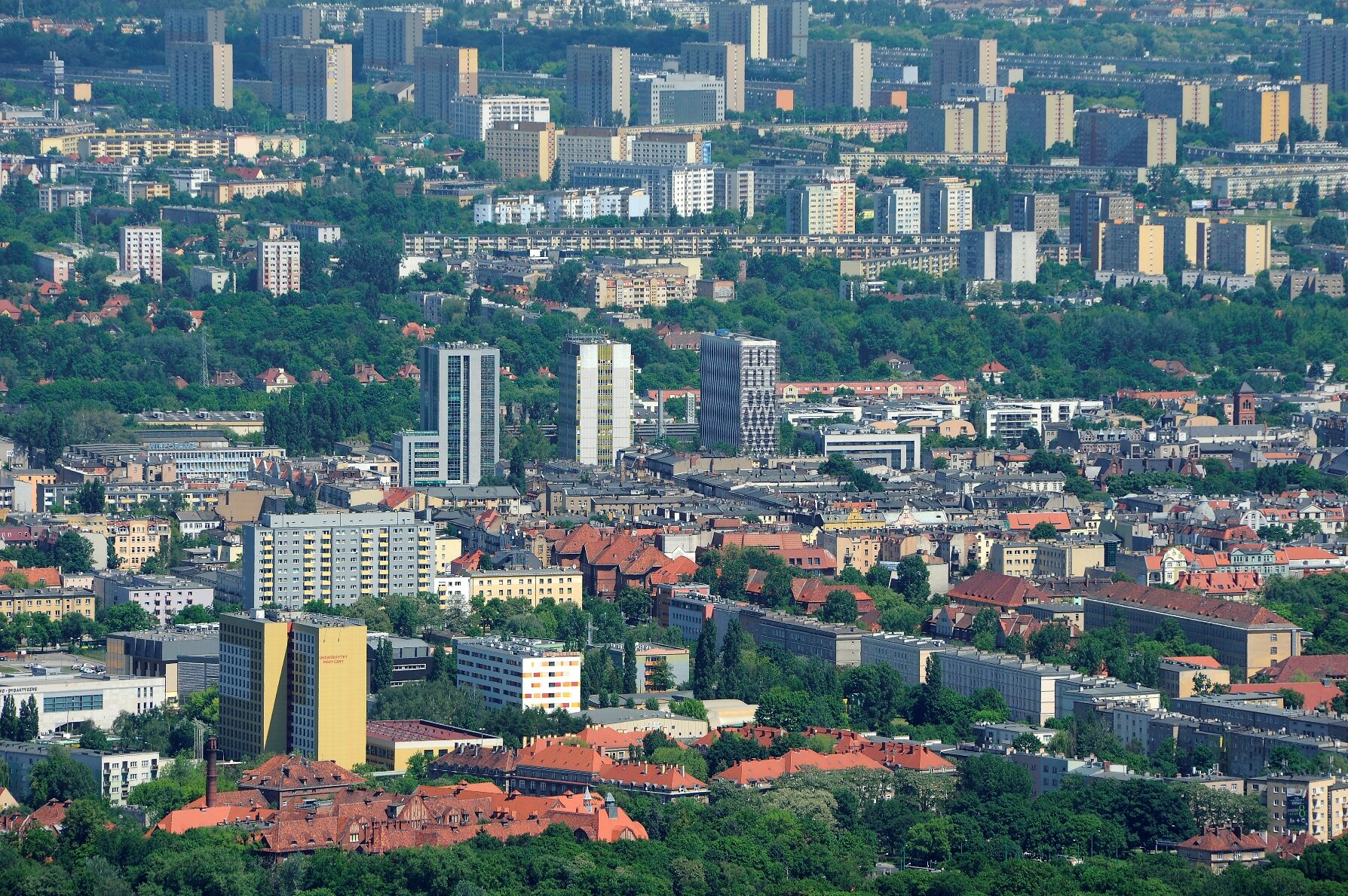 fot. M. Kaczmarczyk - grafika artykułu