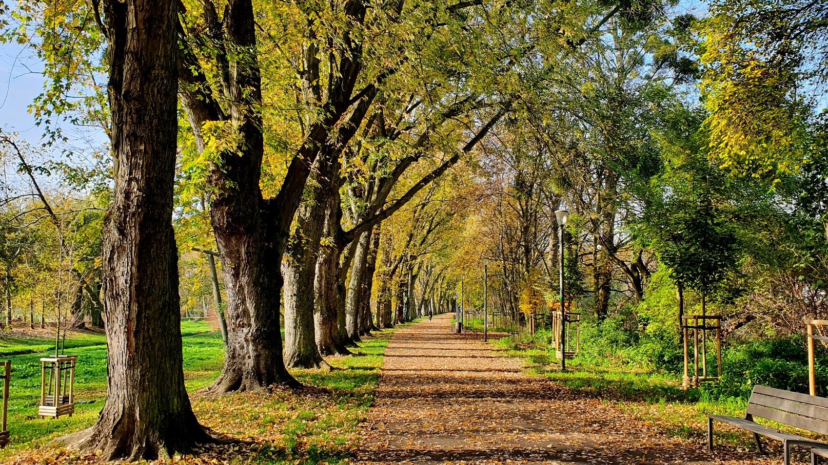 Zdjęcie parku w jesiennej scenerii. Widac na nim alejki spacerowe i drzewa.