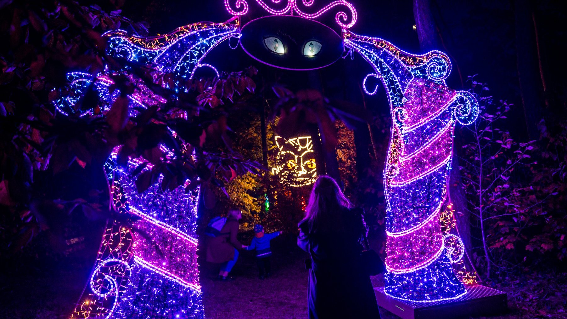 Galeria zdjęć przedstawia iluminacje świetlne i oglądających je ludzi.