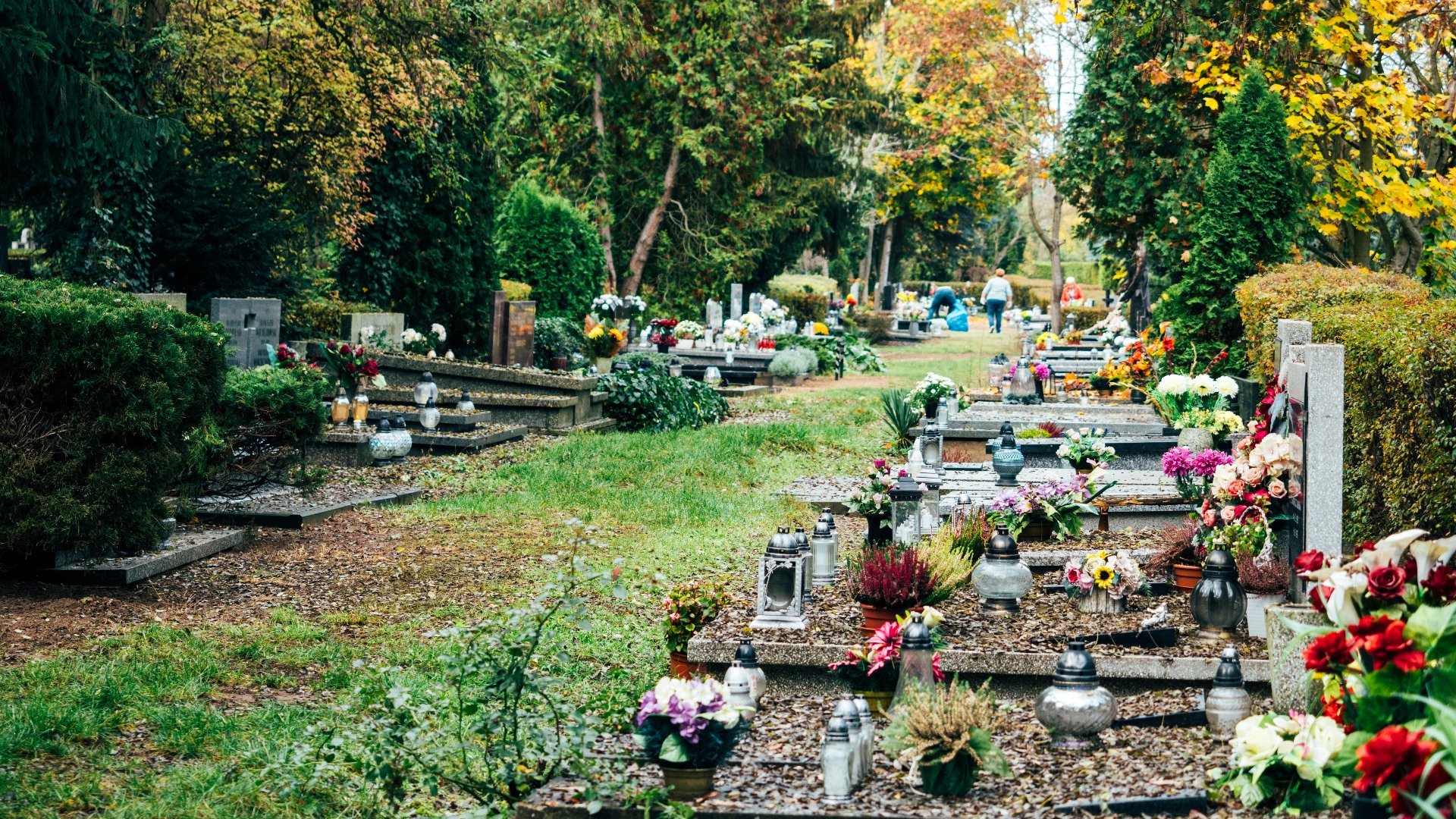 Zdjęcie przedstawia groby na cmentarzu, alejki oraz chodzących po nich ludzi.