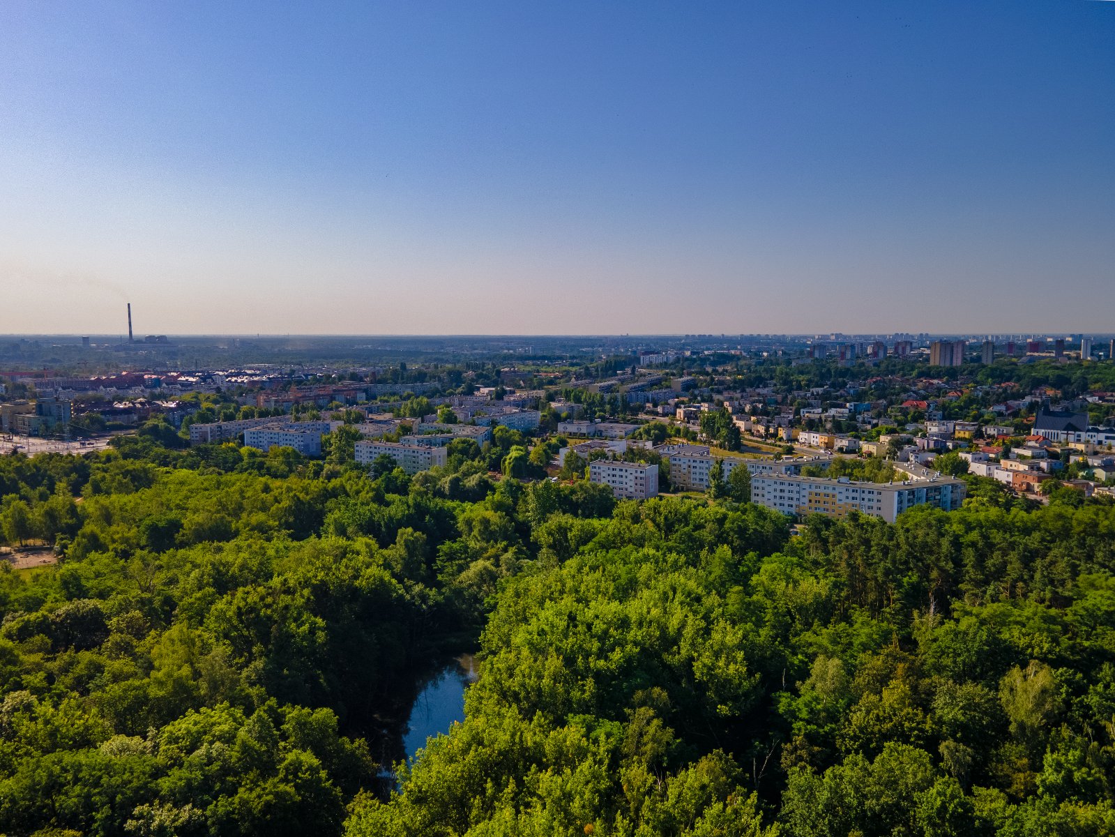 Jak przeciwdziałać zmianom klimatu? Jest nowy plan - grafika artykułu