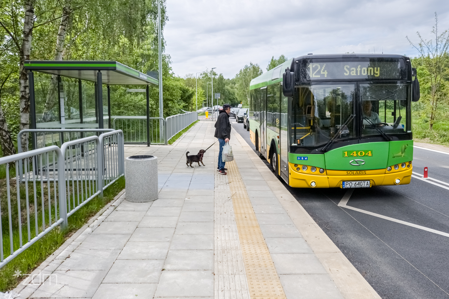 Galeria zdjęć z odnowionych przystanków przy ul. Koszalińskiej - grafika artykułu