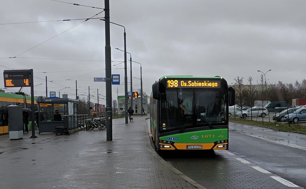 przystanek komunikacji miejsjkiej wspólny dla tramwajów i autobusów, po jednej stronie autobus, pod drugiej tramaj - grafika artykułu