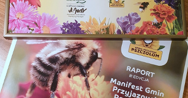 Poznań został wyróżniony za działania na rzecz ochrony pszczół