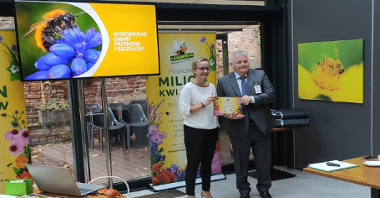 Poznań został wyróżniony za działania na rzecz ochrony pszczół