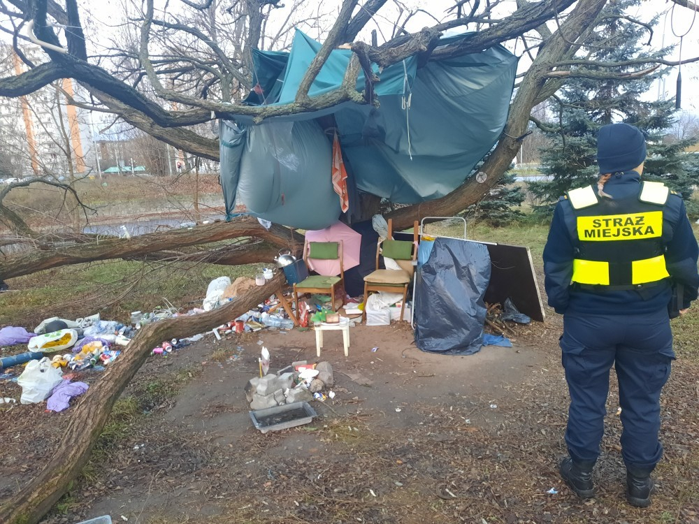 Strażniczka kontrolująca koczowisko osoby bezdomnej - grafika artykułu