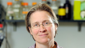 Prof. Rachel Green (USA)