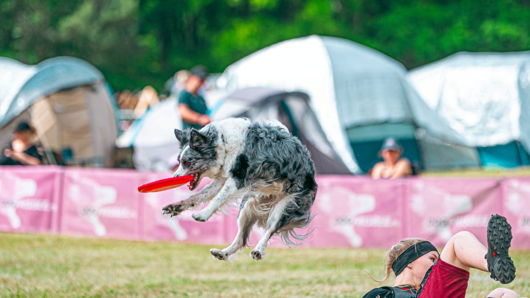 Zdjęcie przedstawia psa skaczącego do frisbee i jego właścicielkę.