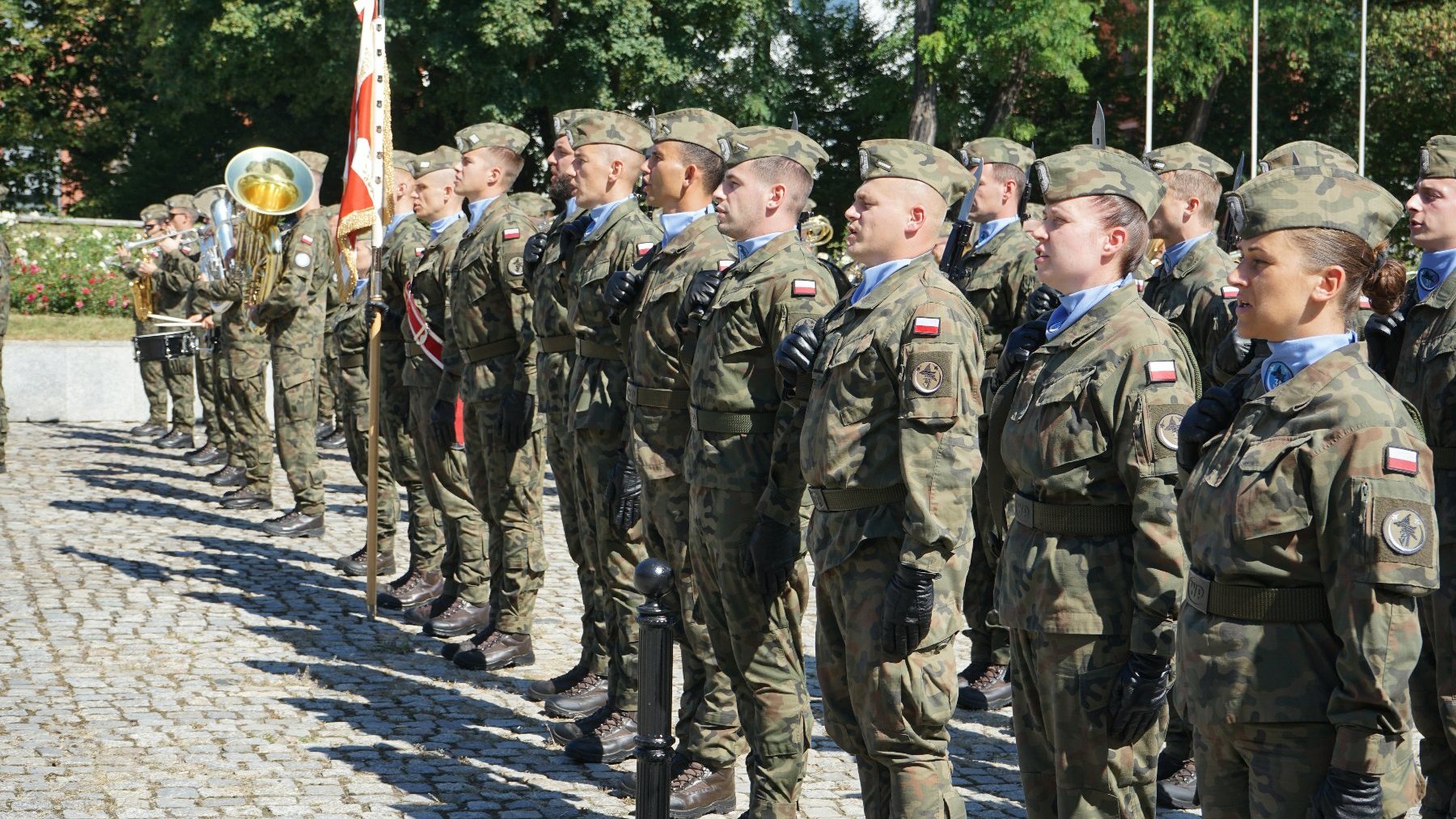 Na zdjęciu żołnierze stojący w szeregu