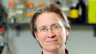 Prof. Rachel Green (USA)