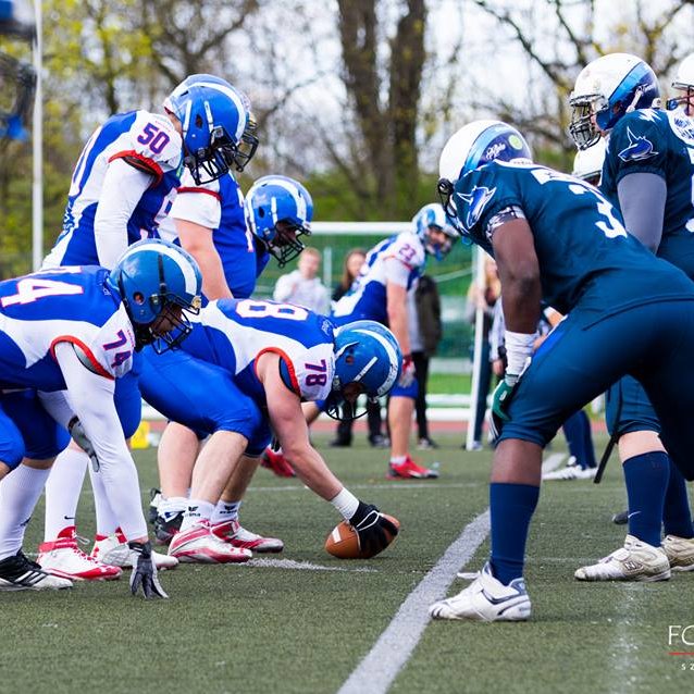 Kozły Poznań - Warsaw Sharks