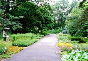 Botanischer Garten, Photo M. Lisiecka