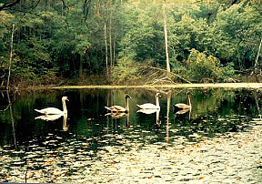 Der Großpolnische Nationalpark