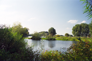 Rogaliner Landschaftspark