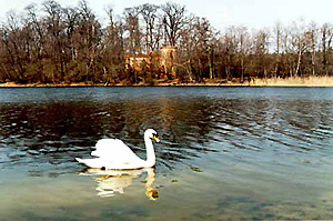 Lake Górka