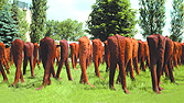 Sculptures of Magdalena Abakanowicz. Photo M. Kuszela