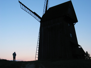 Wind Mills in Dziekanowice