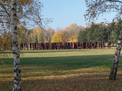 "Nierozpoznani", fot. K. Fryś