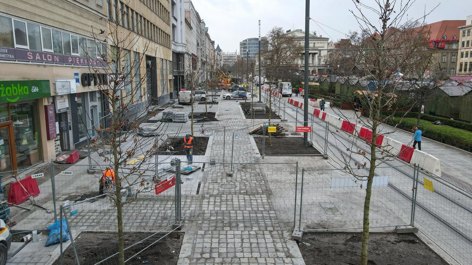 Galeria zdjęć nowo posadzonych roślin przy placu Wolności