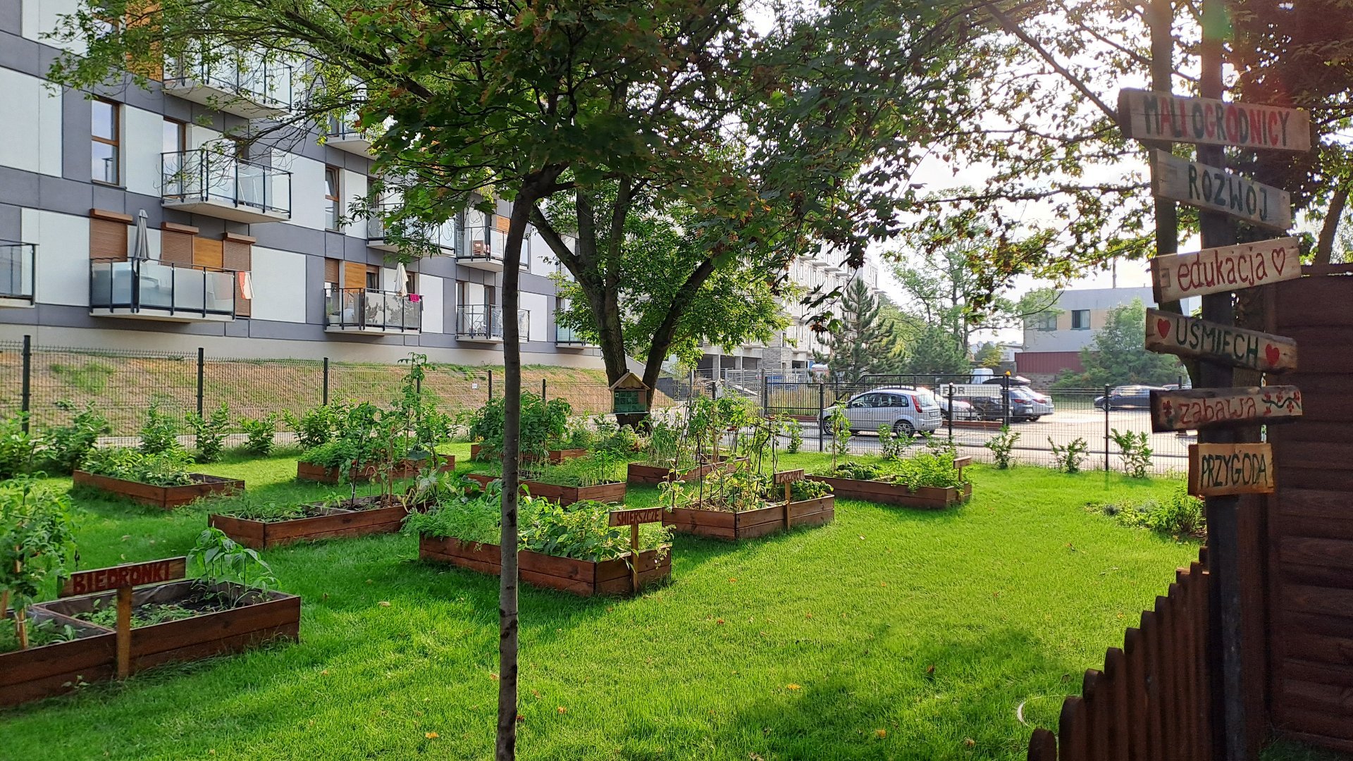 Zdjęcie przedstawia drewniane doniczki z roślinami stojące na trawniku, a także drewniane tablice z napisami.