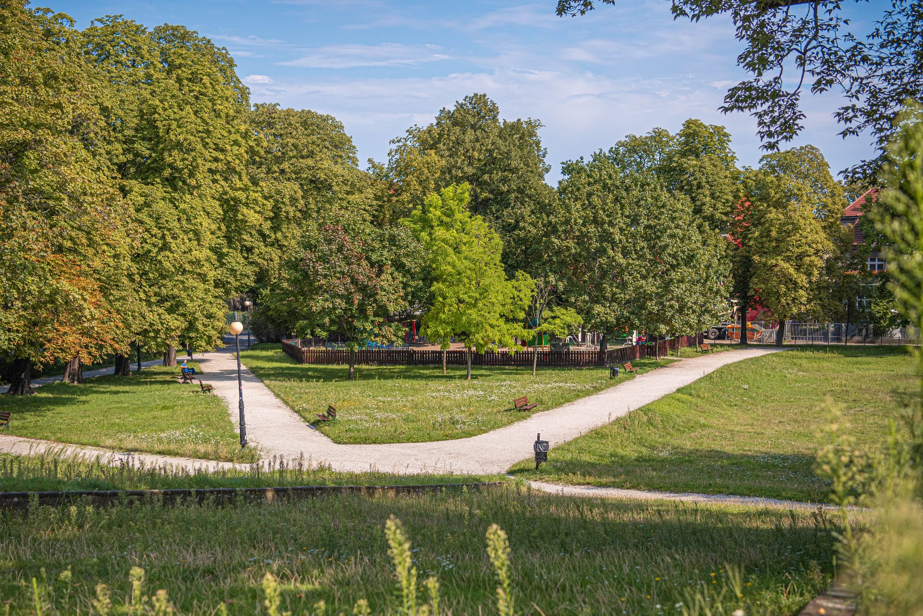 Zdjęcie przedstawia park. Widać na nim zieleń - trawę i drzewa oraz alejki z ławkami. W tle znajduje się ogrodzenie, za którym jest plac zabaw. - grafika artykułu