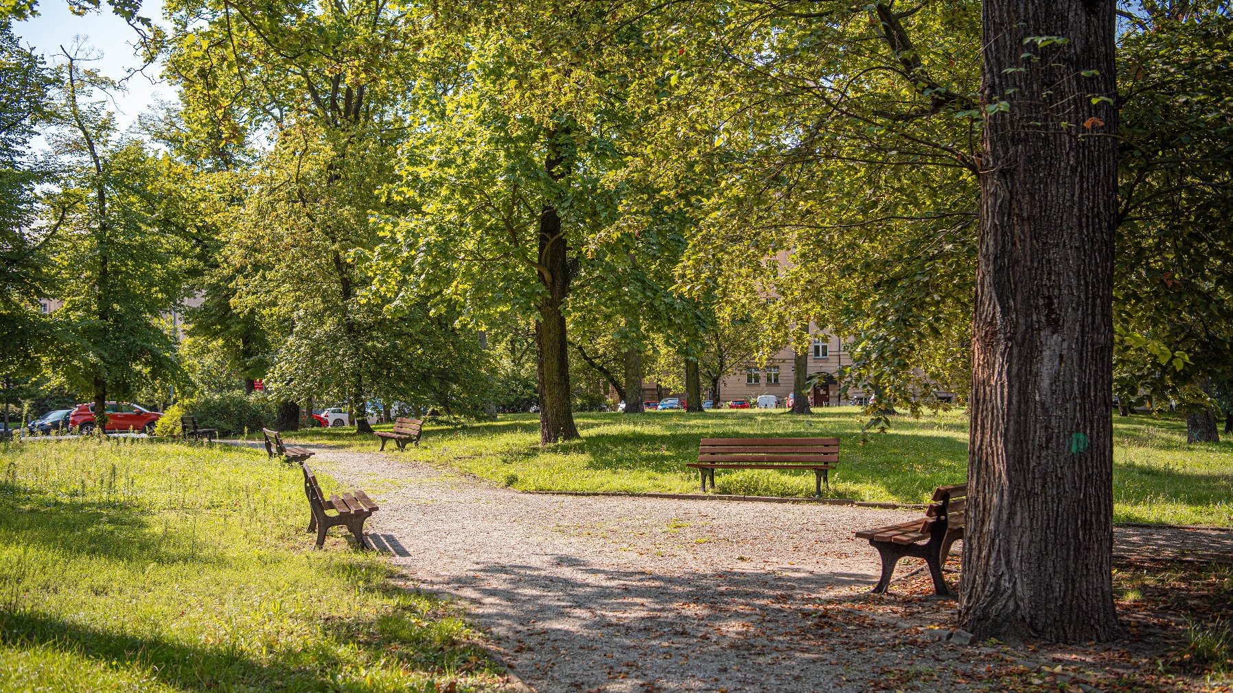 Zdjęcie przedstawia park. Widać na nim zieleń - trawę i drzewa oraz alejki z ławkami. W tle znajduje się budynek i zaparkowane samochody.