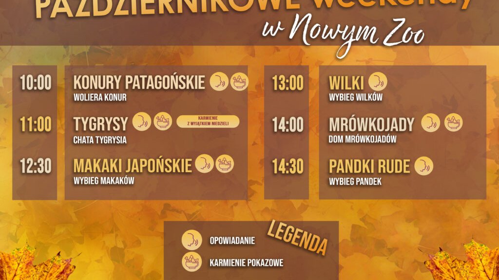 Godzinowy harmonogram spotkań.