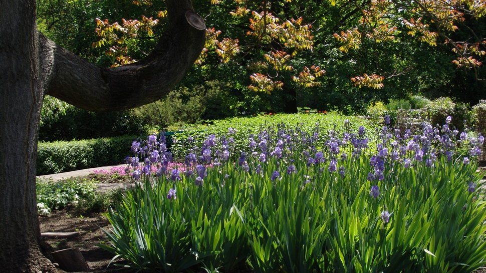 Ogród Botaniczny