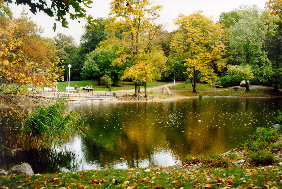 Park Wilsona