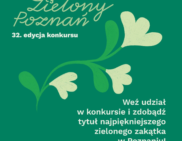 grafika konkursu grafika konkursu,na zielony tle kwiat