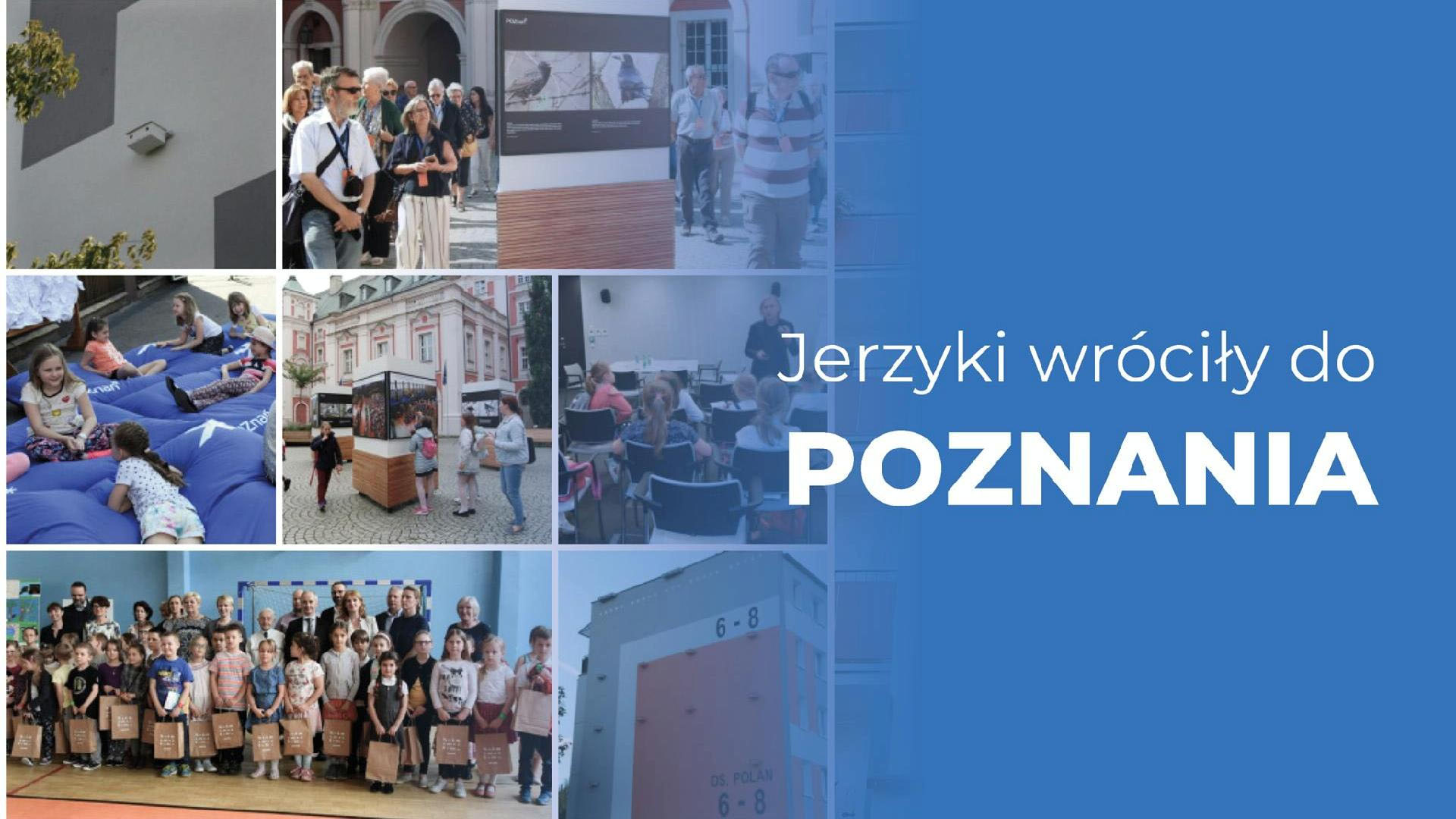 Miejski program ochrony jerzyków zakłada szeroką współpracę ze szkołami, ekspertami, przyrodnikami, społecznikami oraz inwestorami i architektami/zdjęcia archiwalne