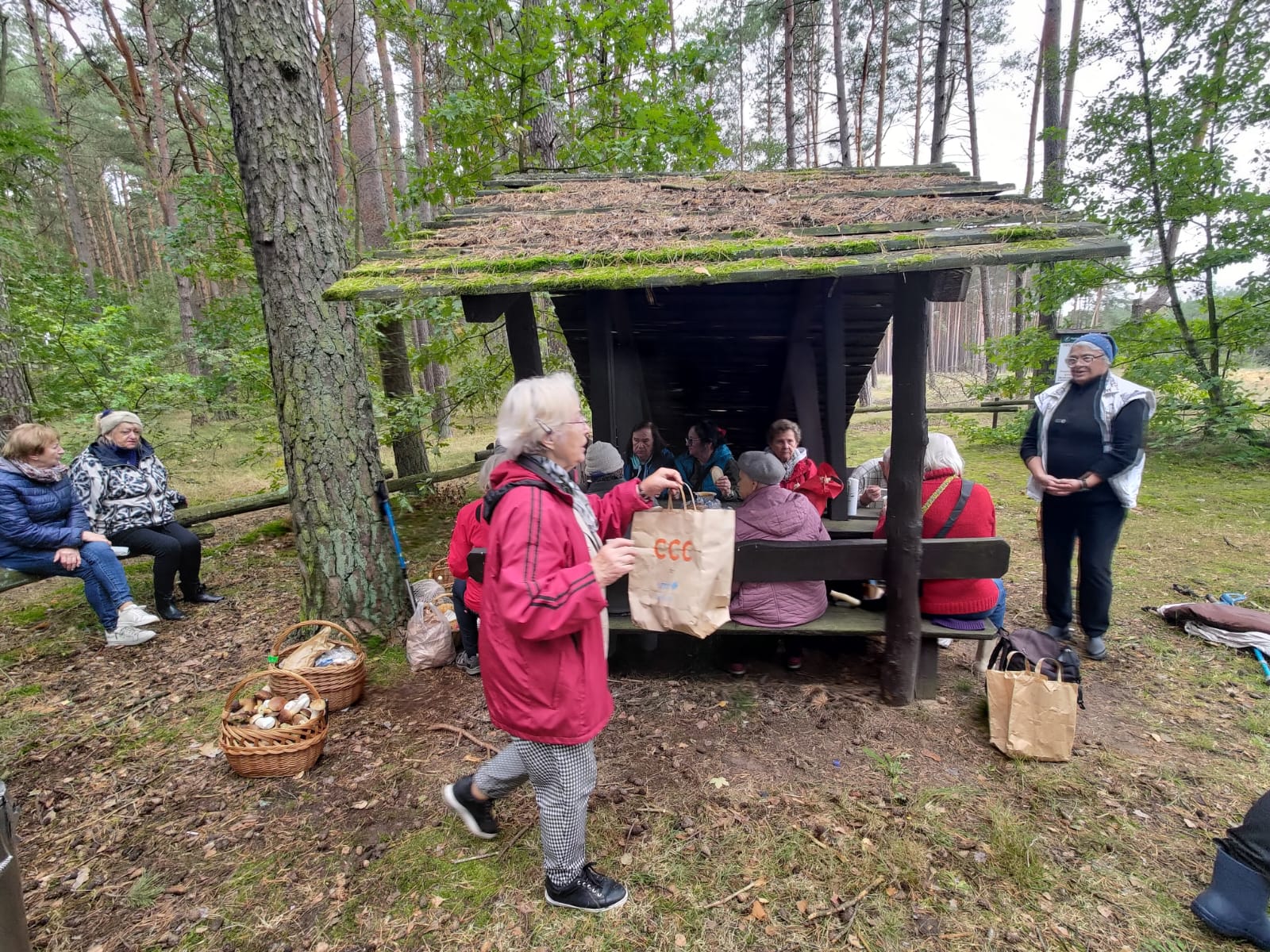 W lesie pod wiatą siedzi grupa seniorów. Z boku dwie seniorki siedzą na drewnianym ogrodzeniu. Na pierwszym planie seniorka niesie torbę papierową z grzybami. Na ziemi stoją dwa pełne kosze grzybów. - grafika artykułu