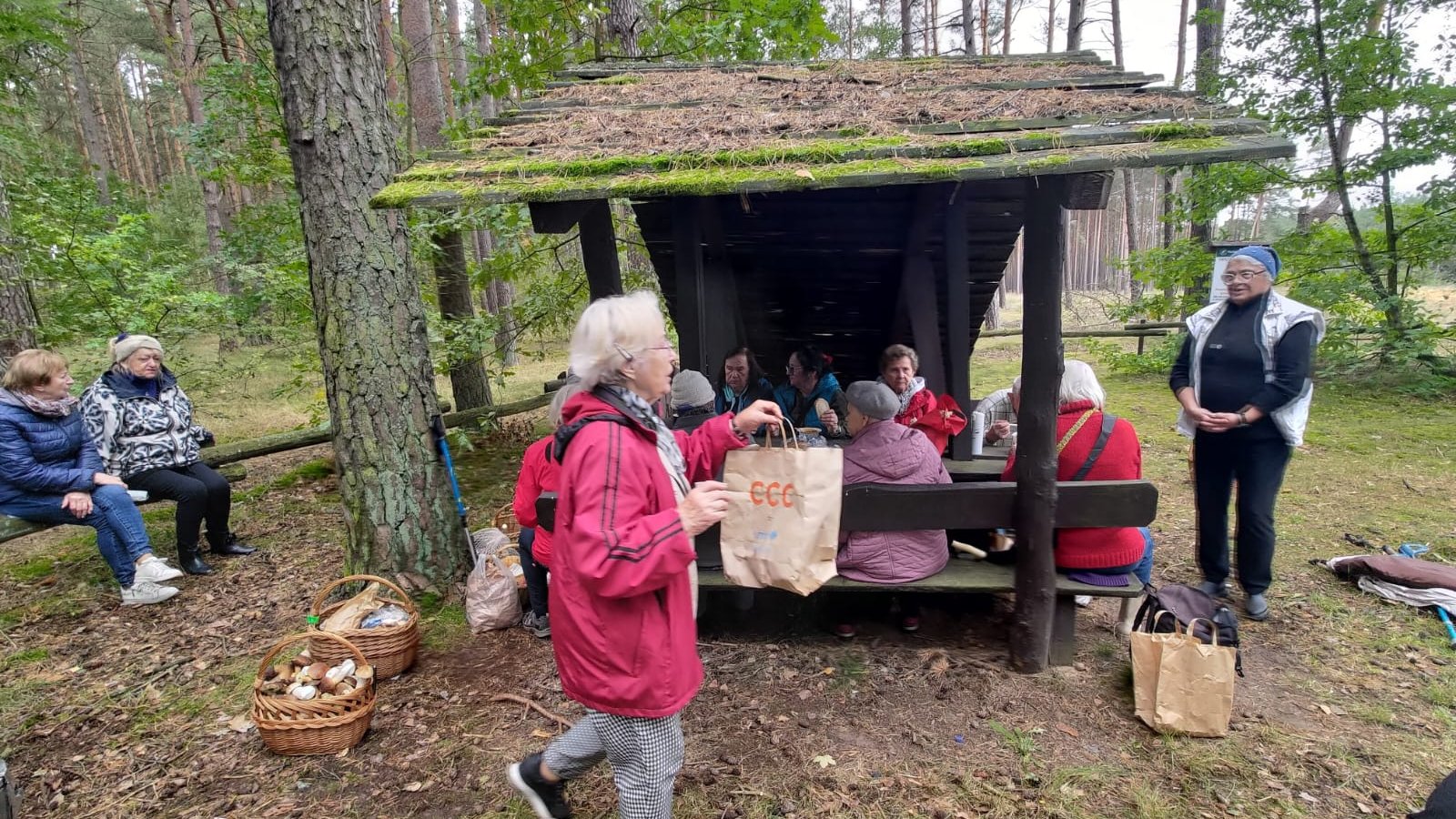 W lesie pod wiatą siedzi grupa seniorów. Z boku dwie seniorki siedzą na drewnianym ogrodzeniu. Na pierwszym planie seniorka niesie torbę papierową z grzybami. Na ziemi stoją dwa pełne kosze grzybów.