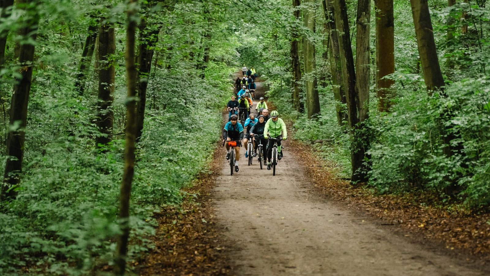 Grupa seniorów na rowerach w lesie
