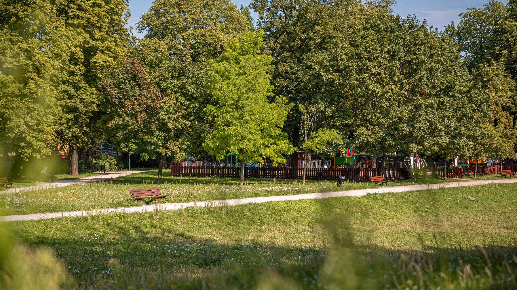 Zdjęcie przedstawia park. Widać na nim zieleń - trawę i drzewa oraz alejki z ławkami. W tle znajduje się ogrodzenie, za którym jest plac zabaw.