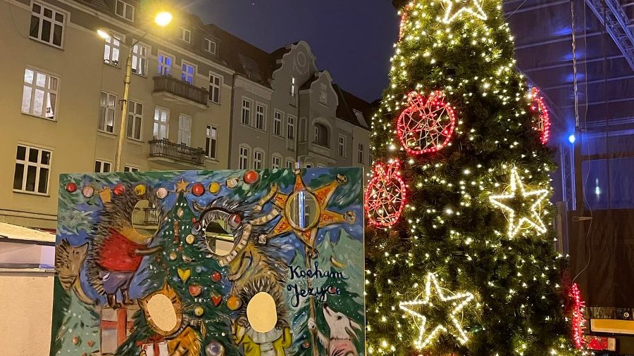 Choinka na rynku Jeżyckim i stojąca obok niej ścianka do zdjęć